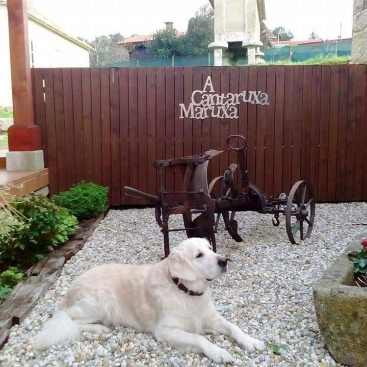 A Cantaruxa Maruxa Turismo Rural Mondariz Exterior foto