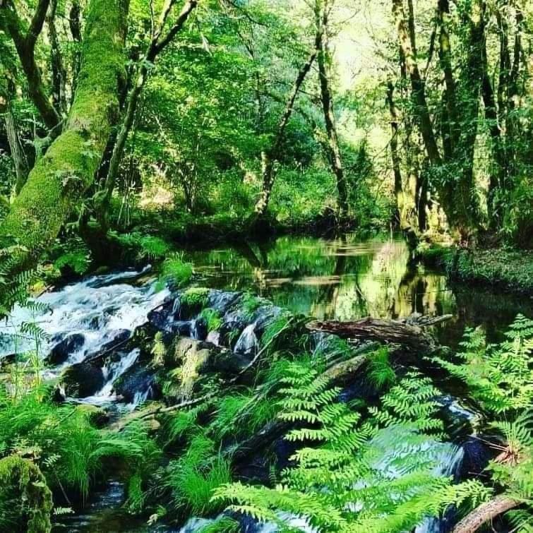 A Cantaruxa Maruxa Turismo Rural Mondariz Exterior foto